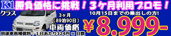 K1 夏へ! let's go　１ヶ月　ナビ付(29泊30日)