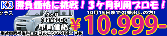 K3 夏へ! let's goキャンペーン　１ヶ月　ナビ付(29泊30日)