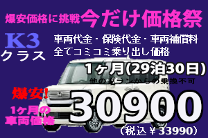 K3クラス 夏の沖縄とことん満喫祭 ナシ(29泊30日)